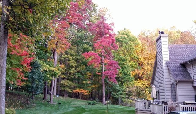 2835 E PR 225 North, Logansport, IN 46947