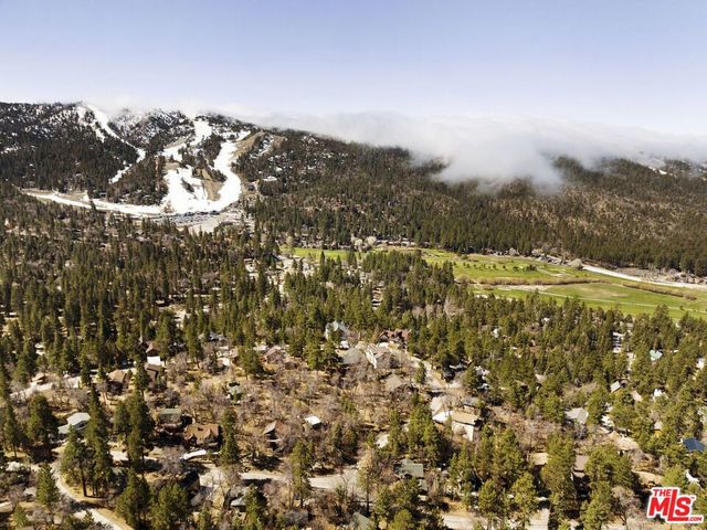 665 Butte Avenue, Big Bear City, CA 92314