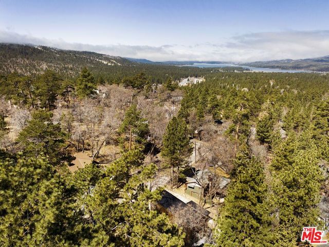 665 Butte Avenue, Big Bear City, CA 92314