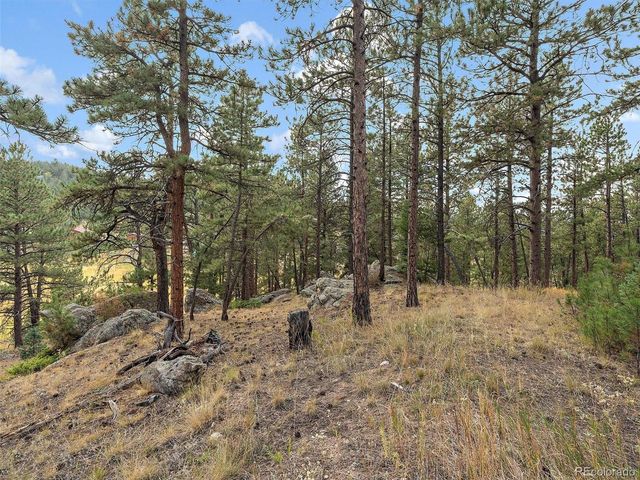 28155 Cragmont, Evergreen, CO 80439