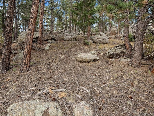 28155 Cragmont, Evergreen, CO 80439