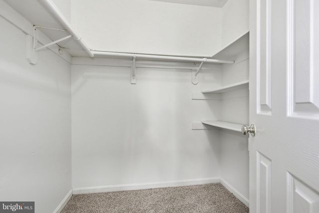 21881 SHALLOW ROCK SQ, Sterling, VA 20164