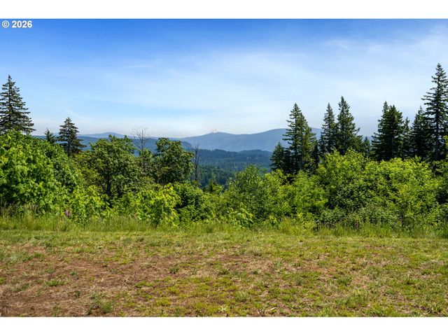 61 BEAR PRAIRIE Rd, Washougal, WA 98671