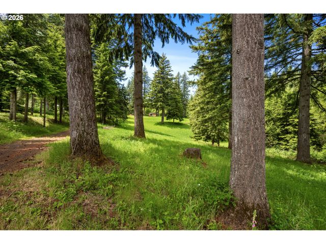 61 BEAR PRAIRIE Rd, Washougal, WA 98671