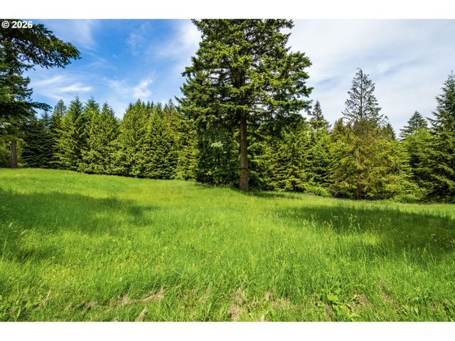 61 BEAR PRAIRIE Rd, Washougal, WA 98671