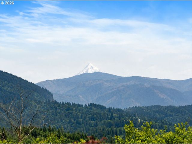 61 BEAR PRAIRIE Rd, Washougal, WA 98671
