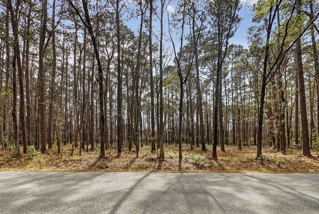 103 Caveson Drive, Summerville, SC 29483