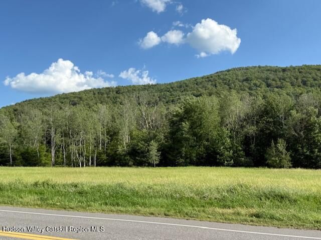 137-1 South Street, Windham, NY 12496