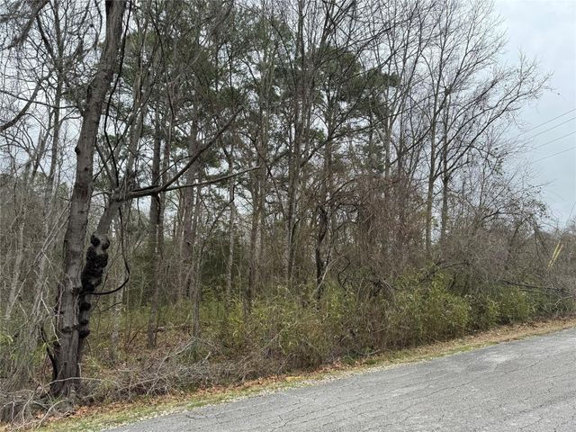 2 Clearwater Circle, Coldspring, TX 77331