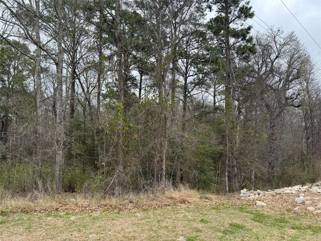 2 Clearwater Circle, Coldspring, TX 77331