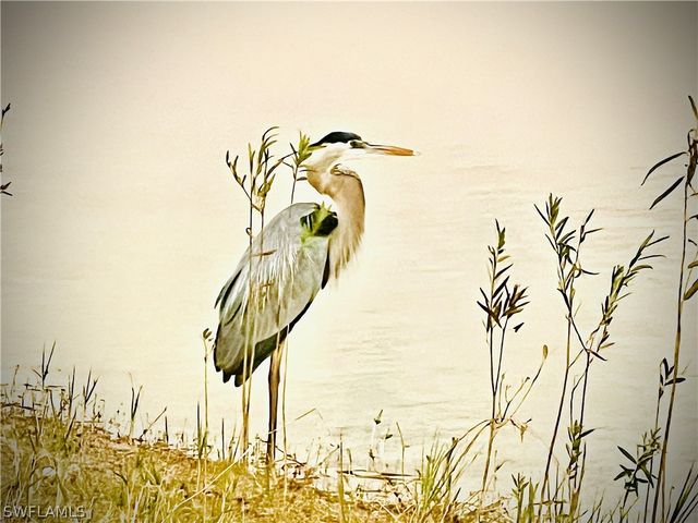 16753 Rolling Rock BLVD, Alva, FL 33920