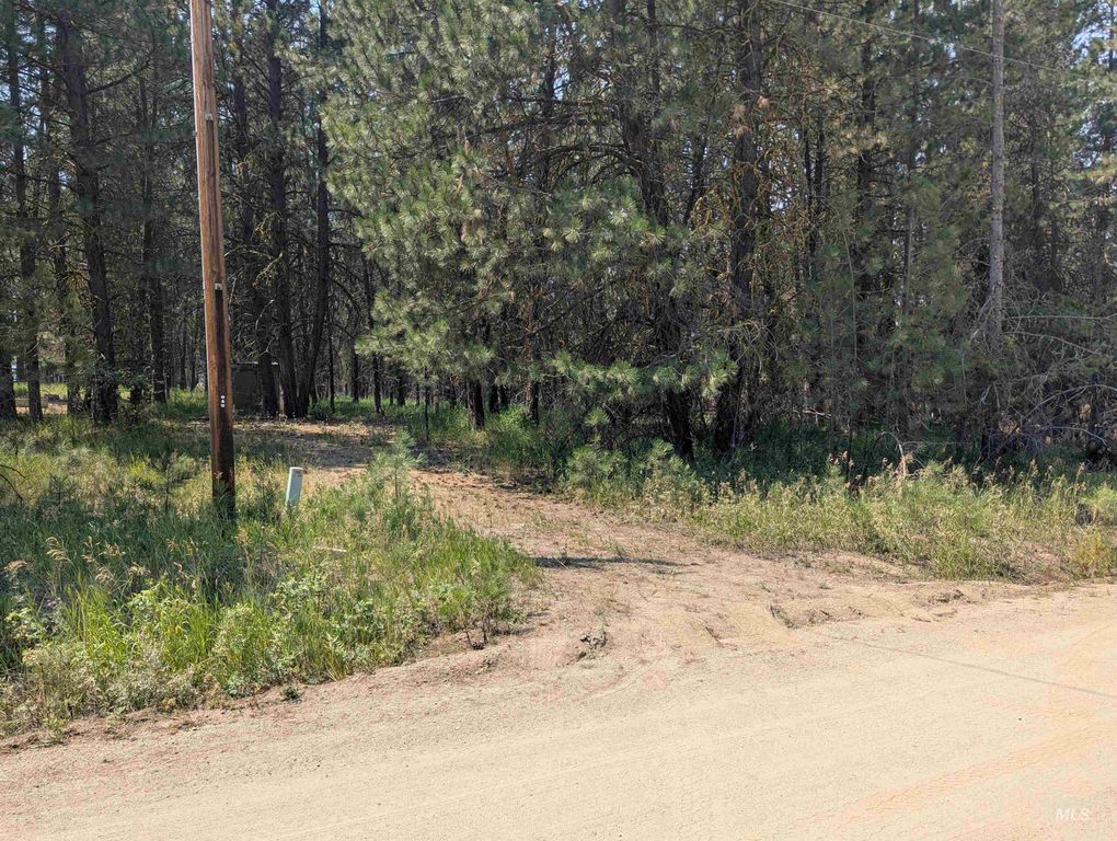 110 E Prospectors Drive, Cascade, ID 83611 photo 1