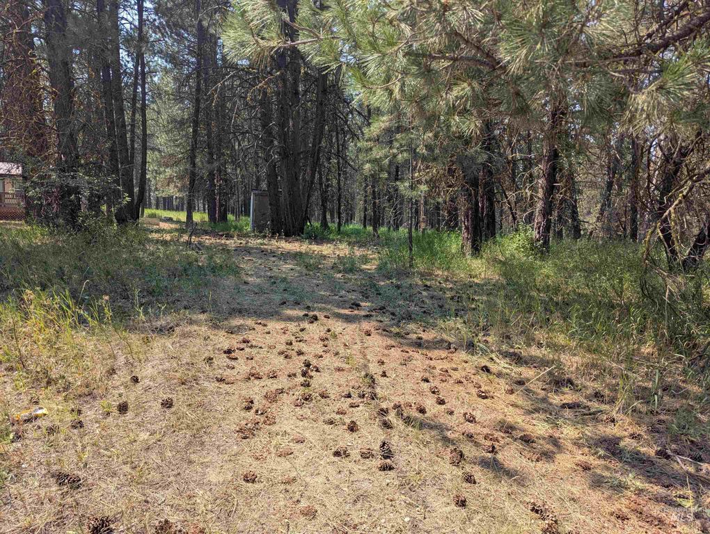 110 E Prospectors Drive, Cascade, ID 83611 photo 2