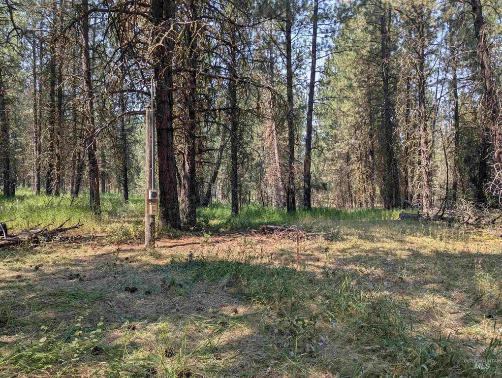 110 E Prospectors Drive, Cascade, ID 83611 photo 3