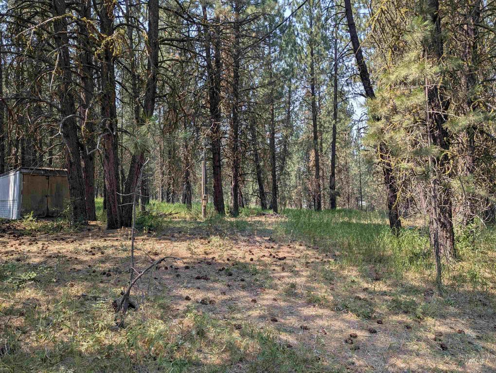110 E Prospectors Drive, Cascade, ID 83611 photo 4
