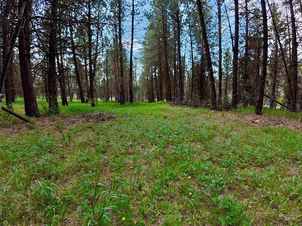 110 E Prospectors Drive, Cascade, ID 83611 photo 5