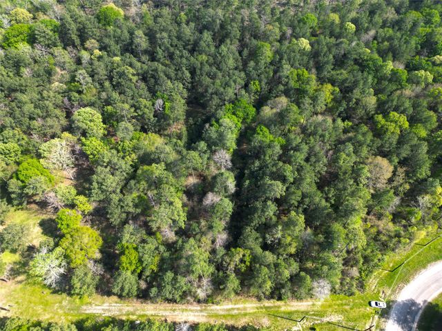 9 Dedication Trail, Huntsville, TX 77340