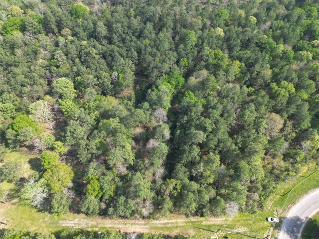 9 Dedication Trail, Huntsville, TX 77340