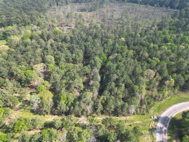 9 Dedication Trail, Huntsville, TX 77340