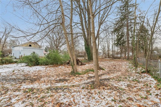 164 Burrows Street, Geneva, OH 44041