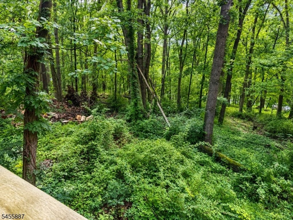 37 Goltra Dr, Bernards Twp., NJ 07920 — photo 2