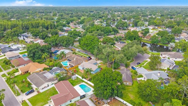 15917 COUNTRY FARM PLACE, Tampa, FL 33624