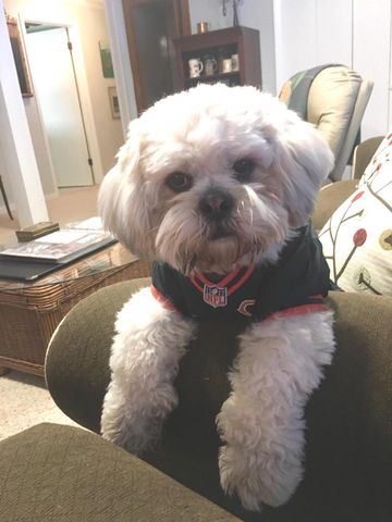 1816 Eastwood Avenue, Janesville, WI 53545