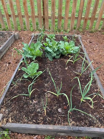 7340 Shady Stroll Lane, Willow Springs, NC 27592