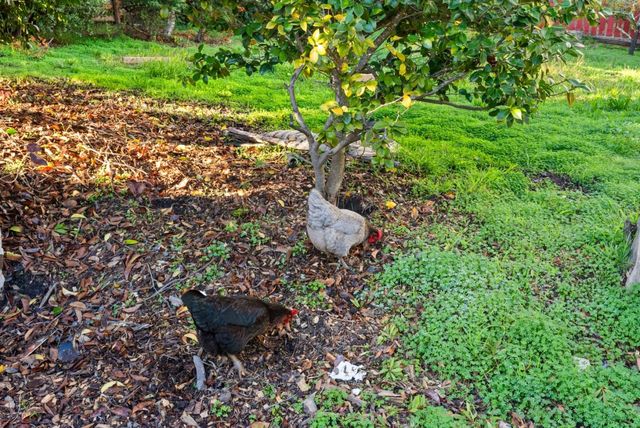 2301 Soquel San Jose Road, Soquel, CA 95073