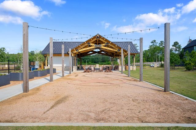 821 High Mesa Lane, Montgomery, TX 77356