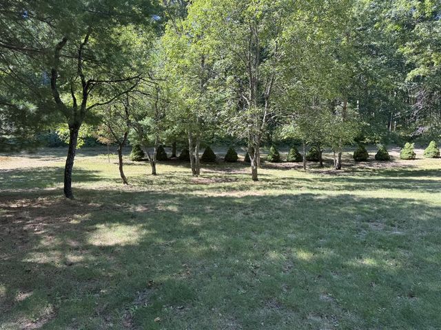 7658 N Johnson Road, Irons, MI 49644