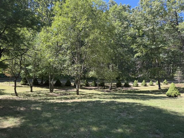 7658 N Johnson Road, Irons, MI 49644