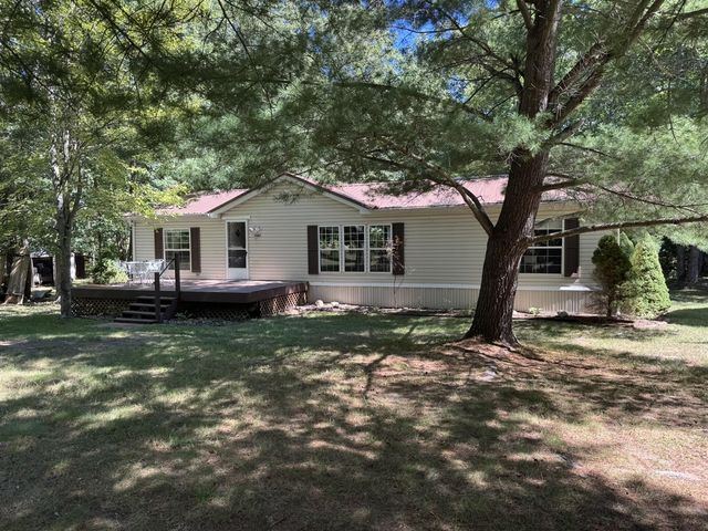 7658 N Johnson Road, Irons, MI 49644