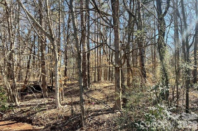 03 Lurecliff Place, Fort Mill, SC 29708
