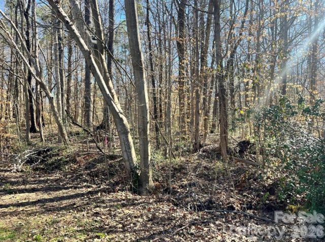 03 Lurecliff Place, Fort Mill, SC 29708