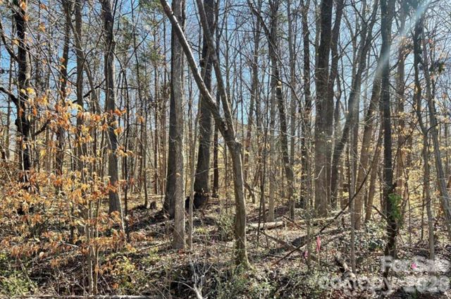 03 Lurecliff Place, Fort Mill, SC 29708