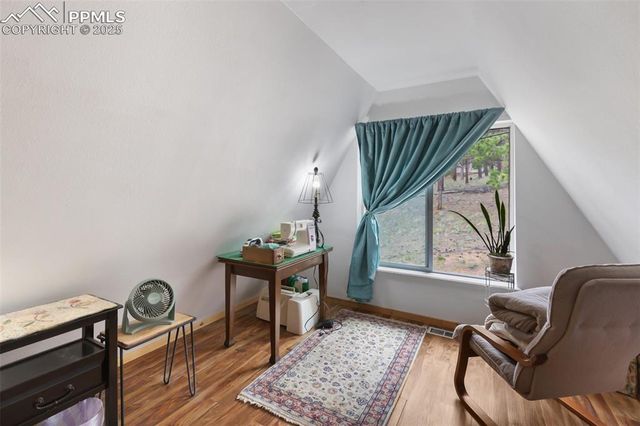 413 W Lake Drive, Divide, CO 80814