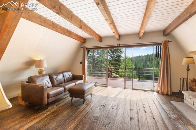 413 W Lake Drive, Divide, CO 80814