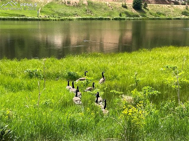 413 W Lake Drive, Divide, CO 80814