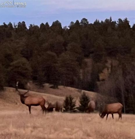 413 W Lake Drive, Divide, CO 80814