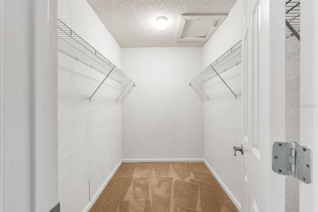 1810 NW 23 BOULEVARD 201, Gainesville, FL 32605