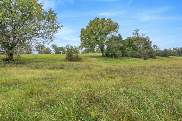 1597 John Sharp Rd, Spring Hill, TN 37174