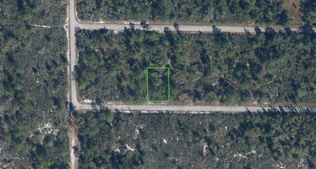 3351 Elmbrook Drive, Lake Placid, FL 33852