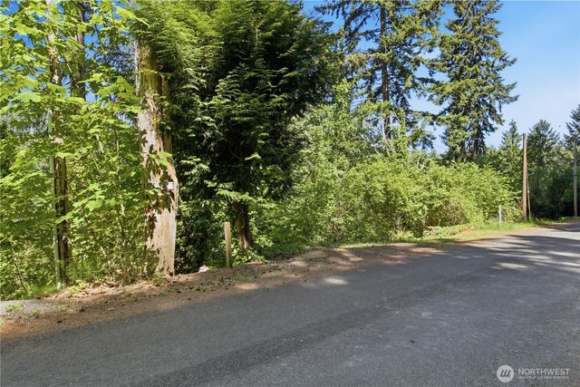 39420 Ski Park Road E, Eatonville, WA 98328