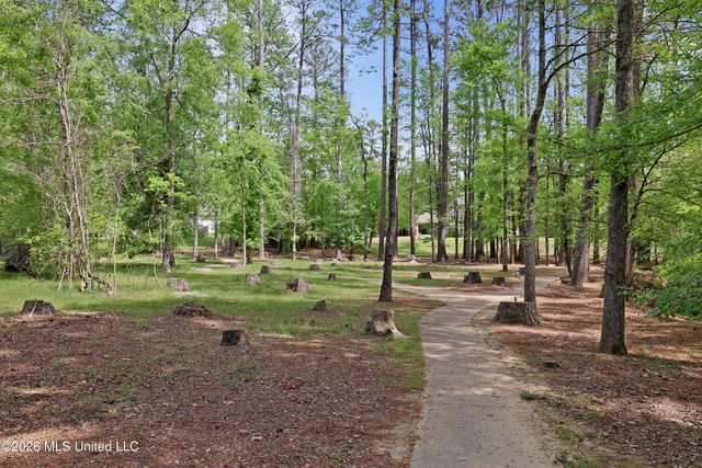 316 Culleys Stand, Madison, MS 39110