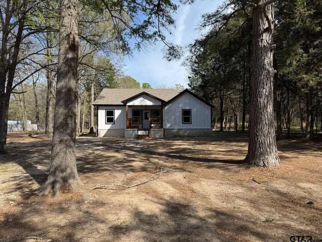 190 Private Road 8503, Ben Wheeler, TX 75754