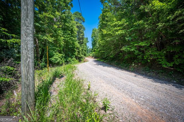 3.54AC Myna Drive, Ellijay, GA 30540