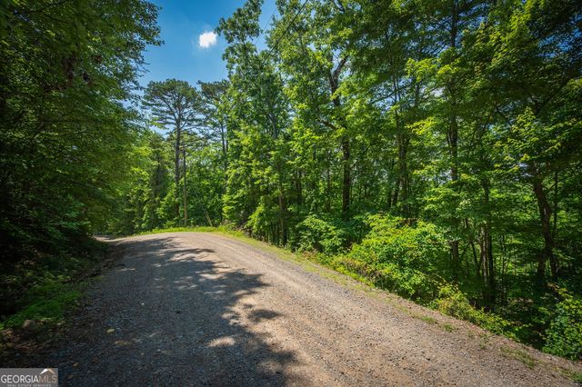 3.54AC Myna Drive, Ellijay, GA 30540