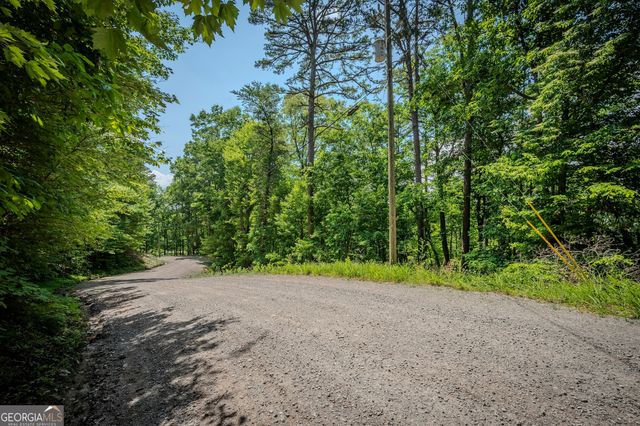 3.54AC Myna Drive, Ellijay, GA 30540