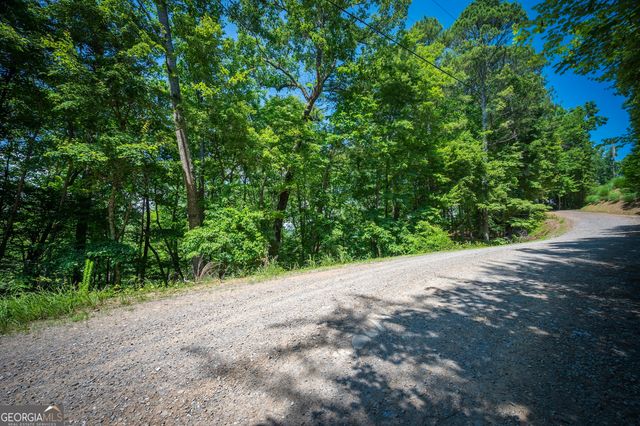 3.54AC Myna Drive, Ellijay, GA 30540